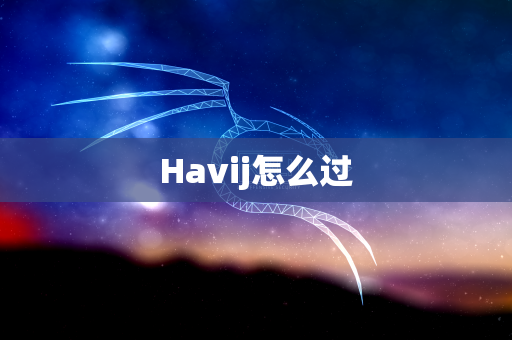Havij怎么过