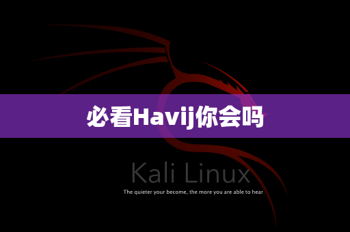 必看Havij你会吗