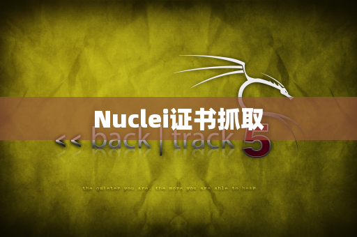 Nuclei证书抓取