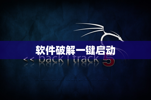 软件破解一键启动