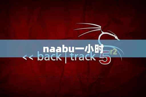 naabu一小时