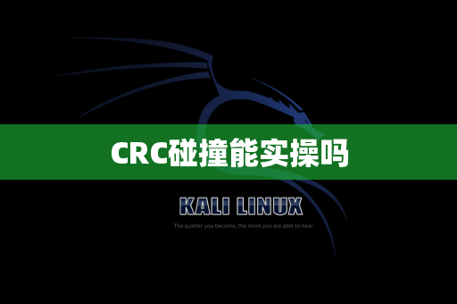 CRC碰撞能实操吗