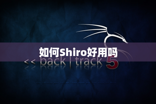 如何Shiro好用吗
