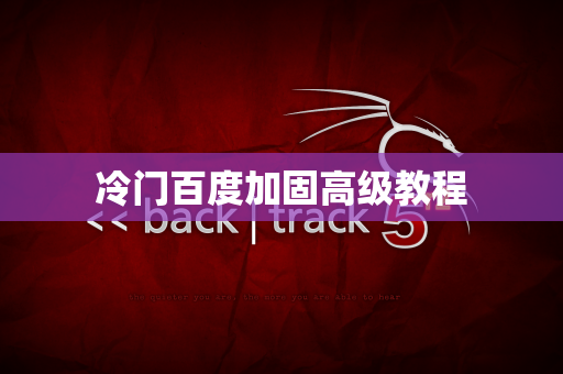 冷门百度加固高级教程
