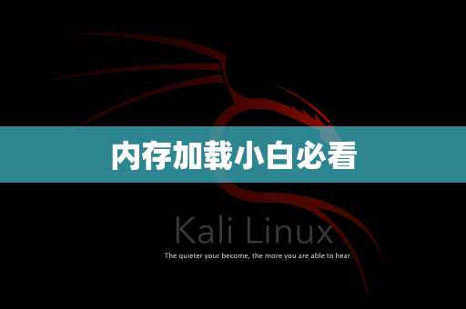 内存加载小白必看