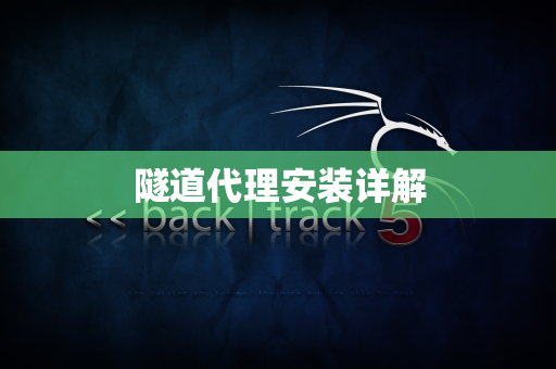 隧道代理安装详解
