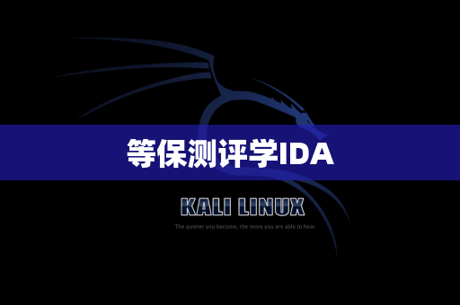 等保测评学IDA