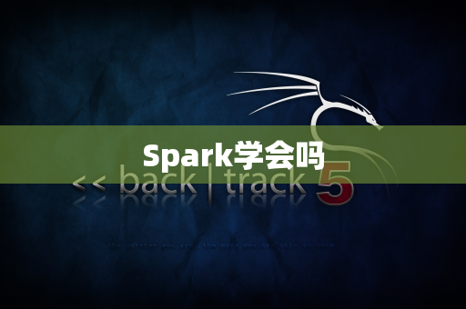 Spark学会吗