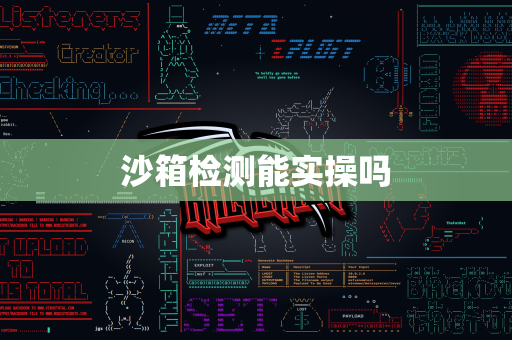 沙箱检测能实操吗