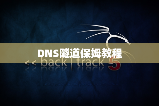 DNS隧道保姆教程