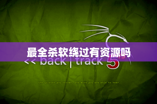 最全杀软绕过有资源吗