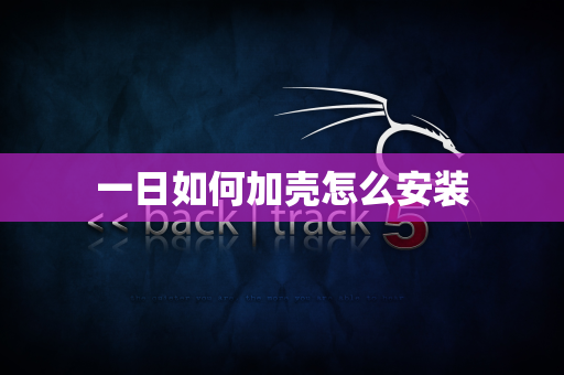 一日如何加壳怎么安装
