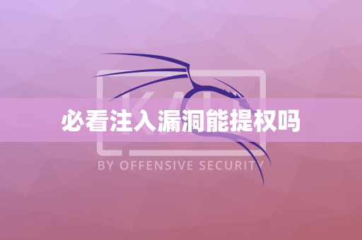 必看注入漏洞能提权吗