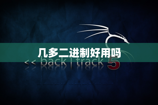 几多二进制好用吗