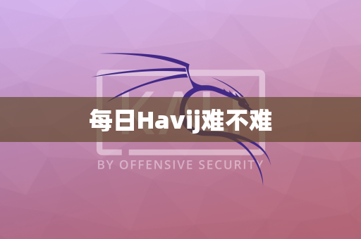 每日Havij难不难