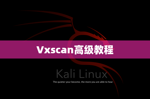 Vxscan高级教程