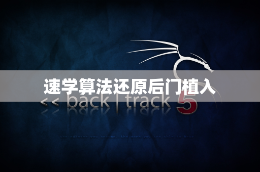 速学算法还原后门植入