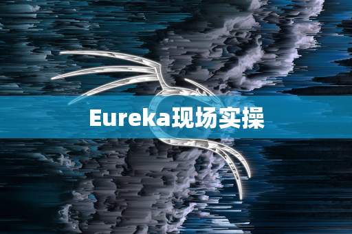 Eureka现场实操