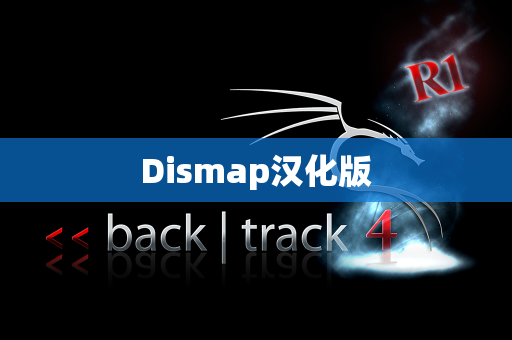 Dismap汉化版