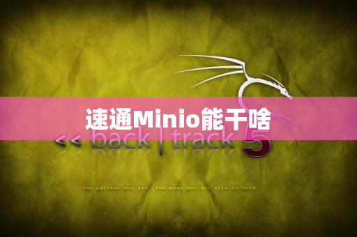 速通Minio能干啥