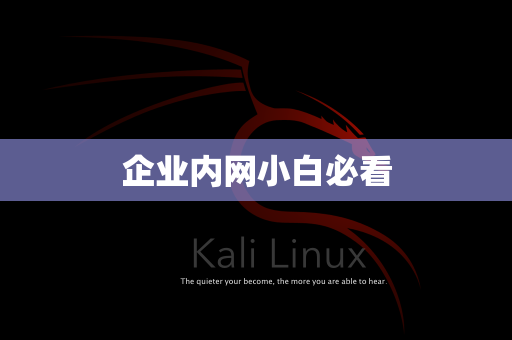 企业内网小白必看