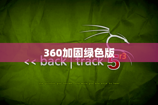 360加固绿色版