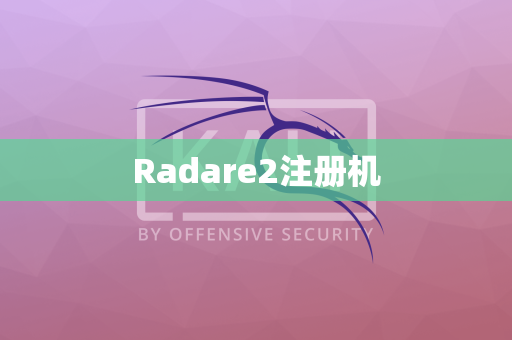 Radare2注册机