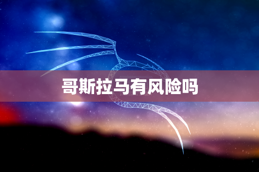 哥斯拉马有风险吗
