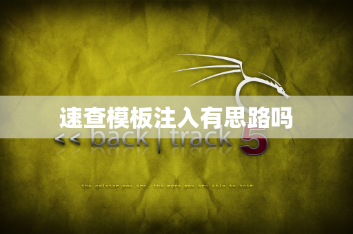 速查模板注入有思路吗