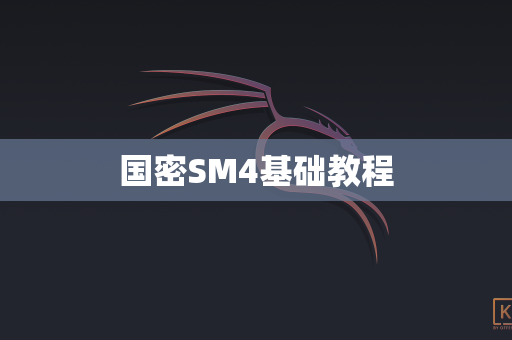 国密SM4基础教程