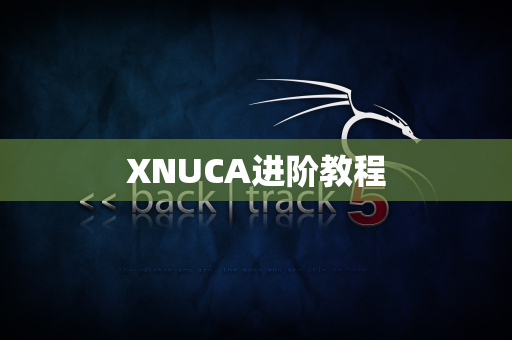 XNUCA进阶教程