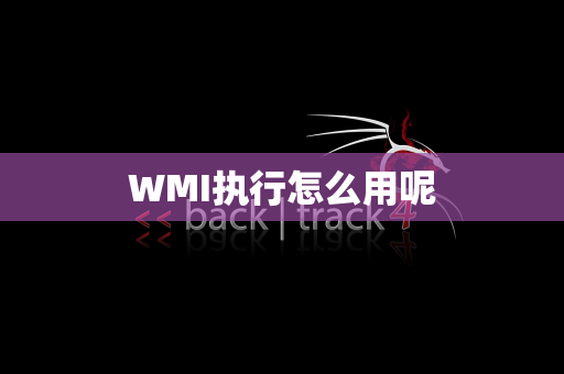 WMI执行怎么用呢