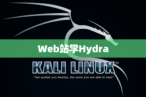 Web站学Hydra