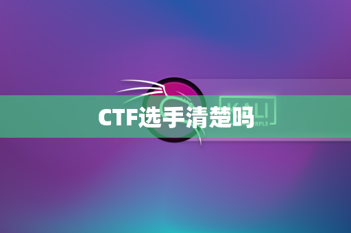 CTF选手清楚吗