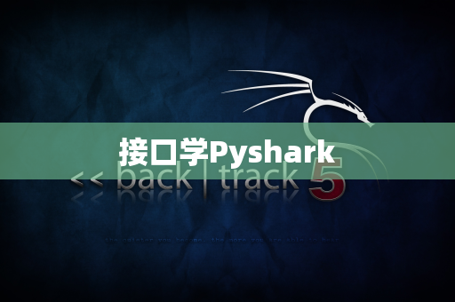 接口学Pyshark