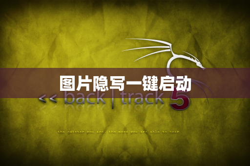 图片隐写一键启动