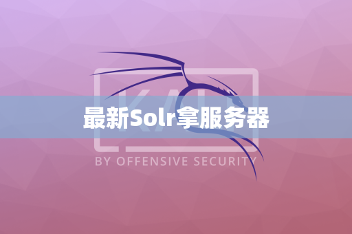 最新Solr拿服务器