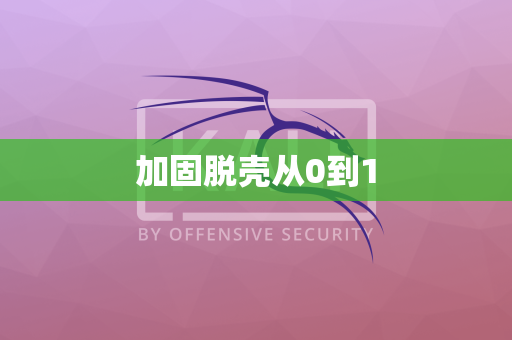 加固脱壳从0到1