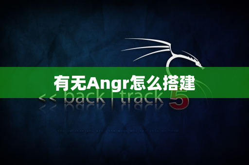 有无Angr怎么搭建
