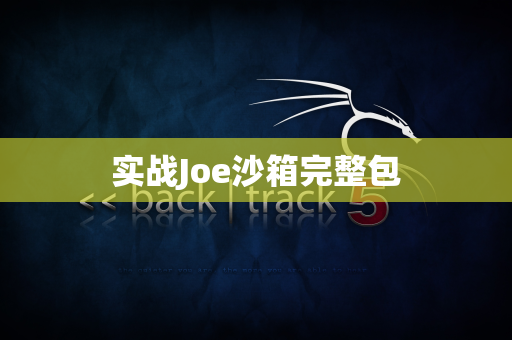 实战Joe沙箱完整包