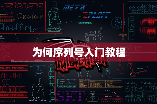 为何序列号入门教程