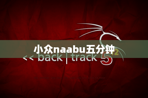 小众naabu五分钟