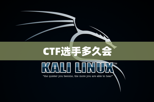 CTF选手多久会