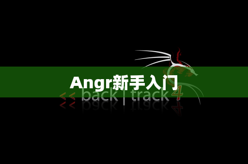 Angr新手入门