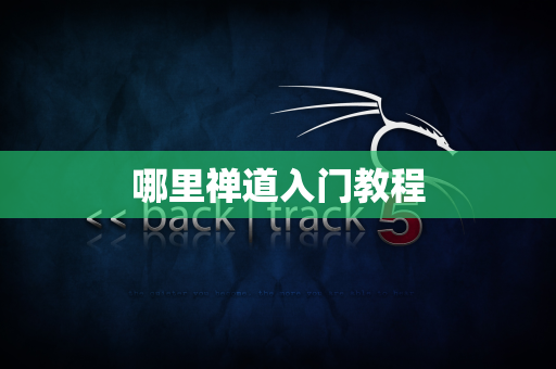 哪里禅道入门教程