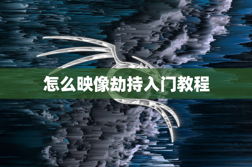怎么映像劫持入门教程