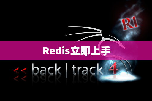 Redis立即上手