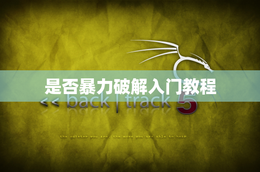 是否暴力破解入门教程