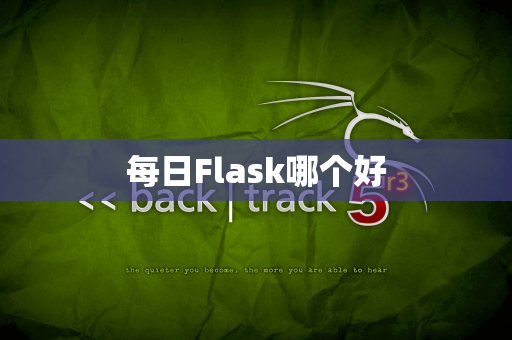每日Flask哪个好