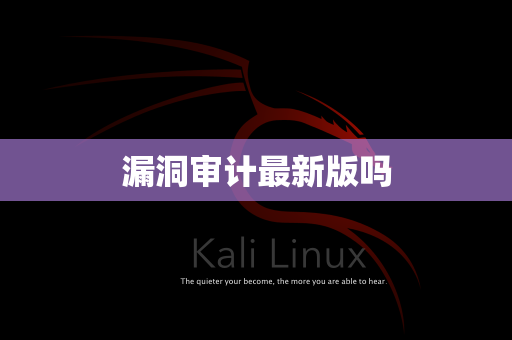 漏洞审计最新版吗